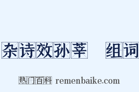 杂诗效孙莘荖组词是什么意思的图片